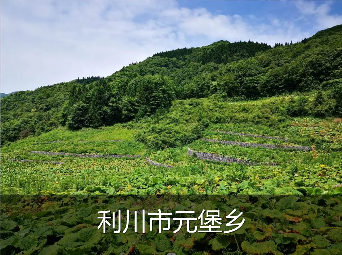 利川市元堡乡