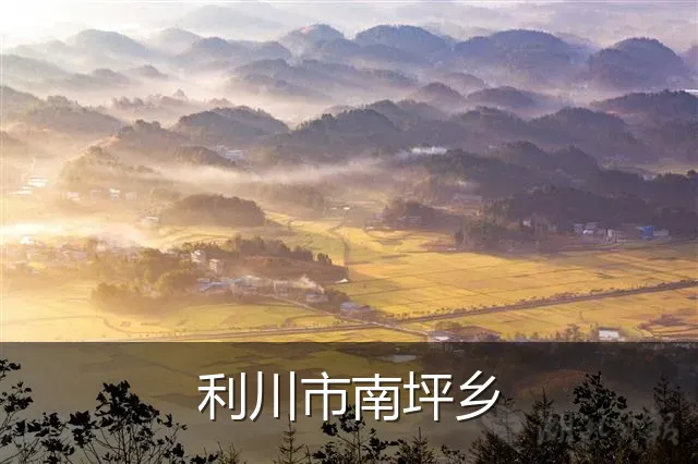 利川市南坪乡