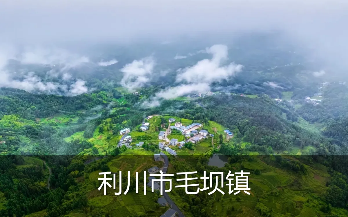 利川市毛坝镇